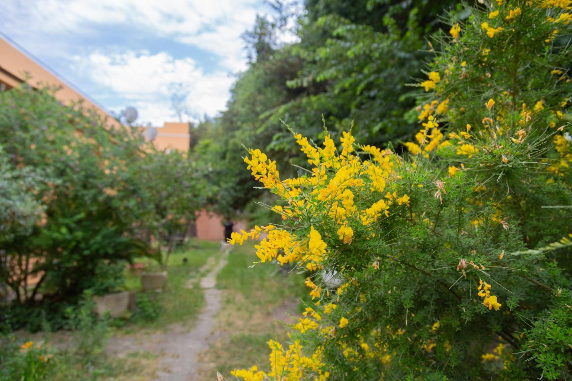 La Casa Di Nonna Peppina A Trastevere Ρώμη Εξωτερικό φωτογραφία
